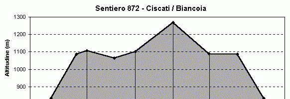 872 Ciscati/Biancoia